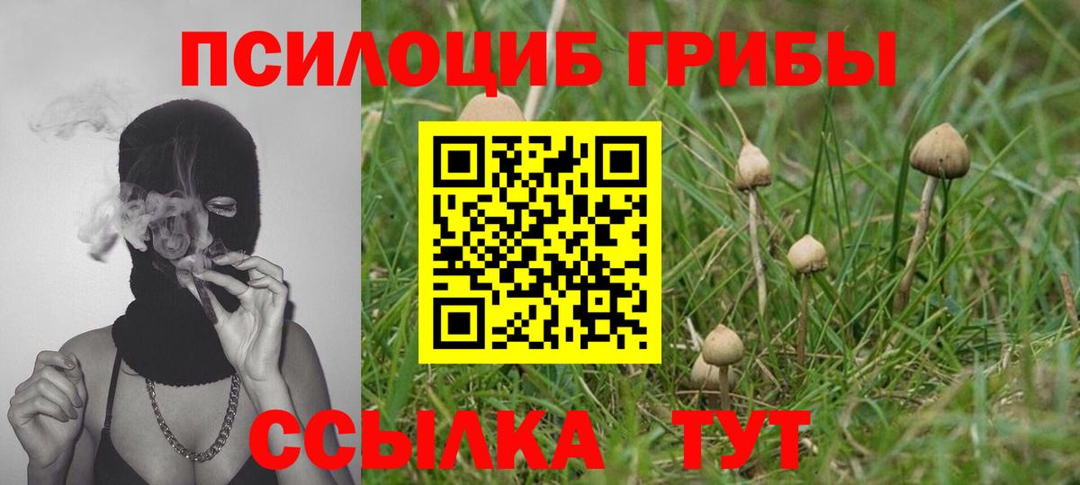 Галлюциногенные грибы прущие грибы  Вход с VPN  Галлюциногенные грибы Cubensis  Череповец 